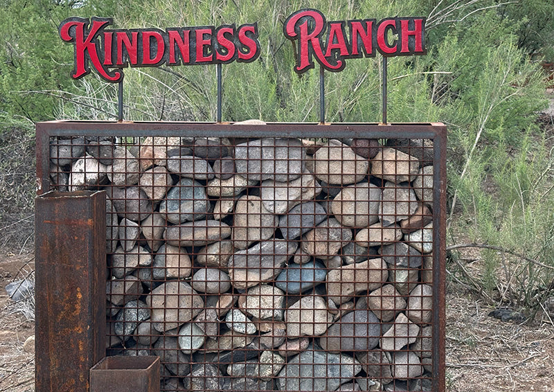 Why Gabions (aka Rock Cages) Are the Smartest Backyard Upgrade in Arizona Right Now